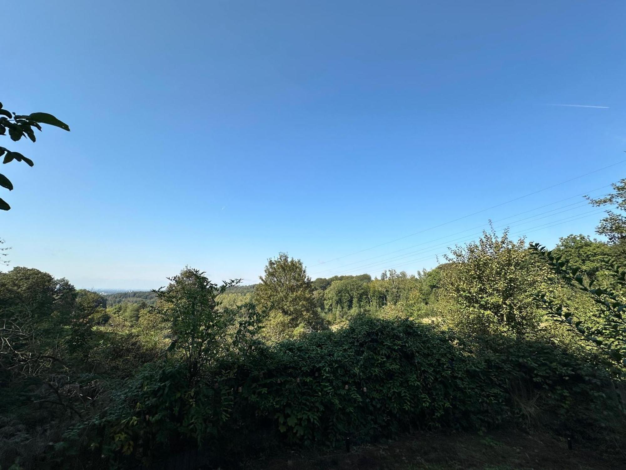 Zentrale Lage Zu Koeln Mitten In Der Natur! ベルギッシュ・グラートバッハ エクステリア 写真