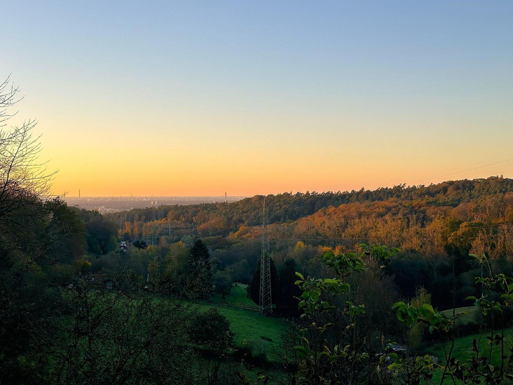Zentrale Lage Zu Koeln Mitten In Der Natur! ベルギッシュ・グラートバッハ エクステリア 写真